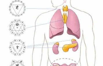 Imagem em Destaque - Chakras e energia vital: qual a relação?